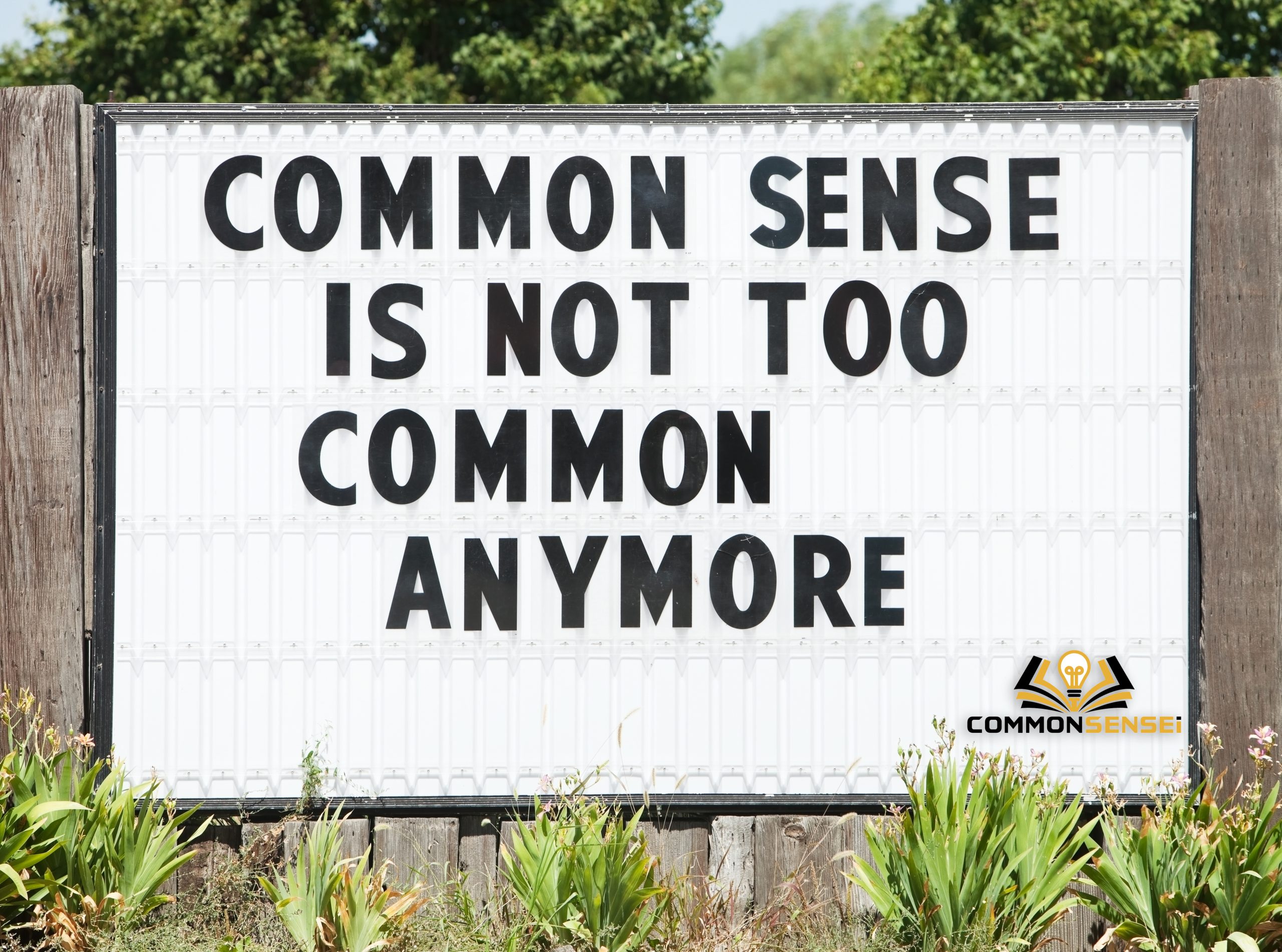 The Death of Common Sense?